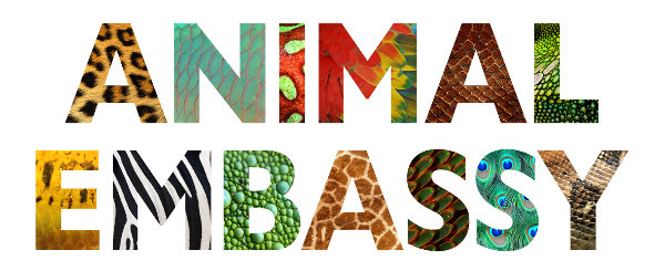Animal Embassy_blog