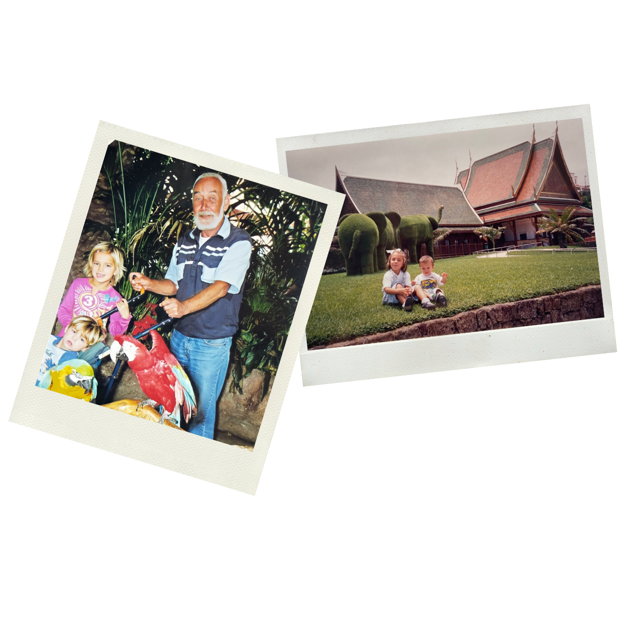 foto-memoria-web