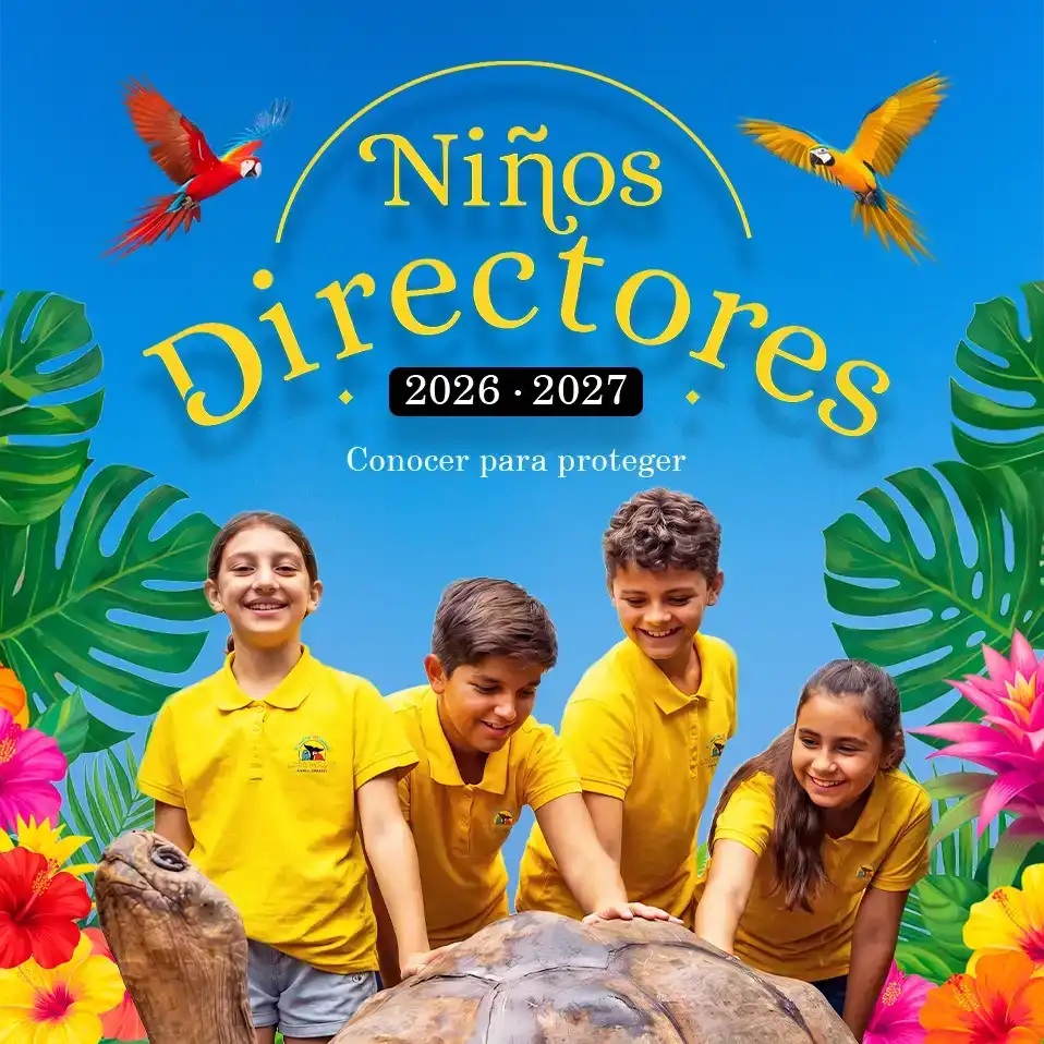 Niño Director